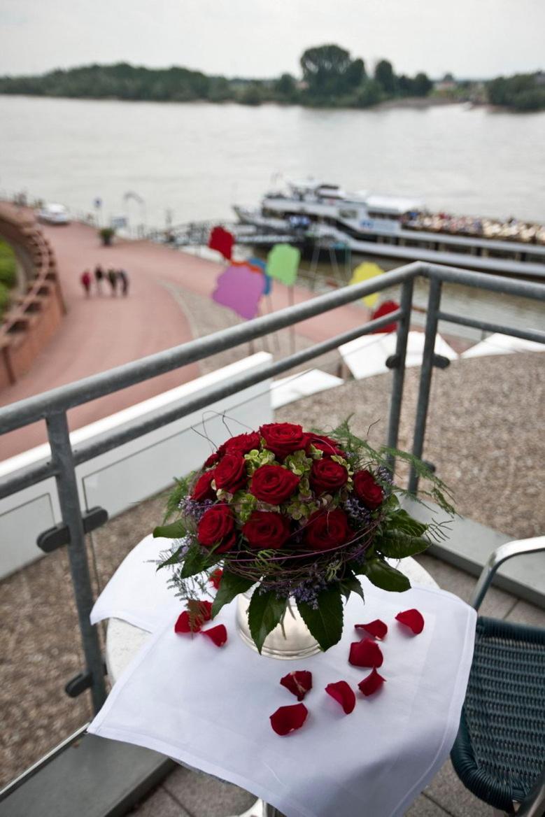 Hotel Rheinpark ריס מראה חיצוני תמונה